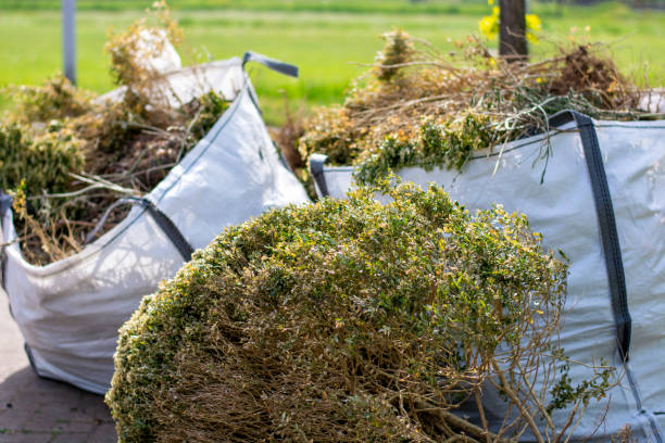 Debris Removal in Highland Park, TX